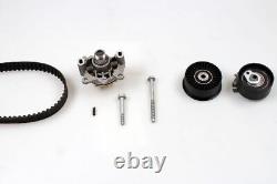 Brand New Belt Kit + Water Pump Pk09560 Hepu I