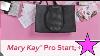 Brand New Pro Kit For Mary Kay 2023 2024