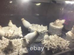 Elite Mushroom Growing Kit with 12 PF Tek Style Jars Expandable/Automated