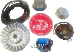 Lambretta 12v Electronic Ignition Kit Li, Sx, Tv New K2 Stator Sil Free Loom