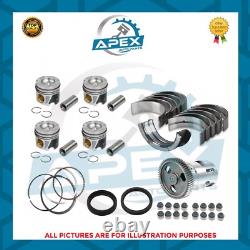 Mercedes Benz Sprinter Om651 Engine Rebuild Kit 0.50 Pistons Brand New