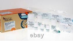 RNeasy Mini Kit Qiagen, ZymoResearch, NEB