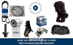 Wet Belt Kit Oil Pump Belt Bolt Transit Mk8 Custom 2.0 Ecoblue Euro 6 Sump