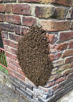 Aspirateur d'abeilles