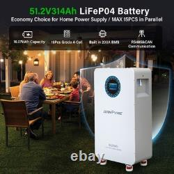 Batterie de stockage d’énergie solaire PV LiFePO4 au lithium 16,07 kWh 48 V, batterie de stockage 51,2 V 314 Ah