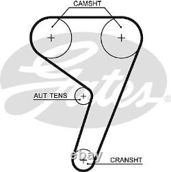 Kit de Courroie de Distribution et Pompe à Eau compatible avec FORD FIESTA 1.6 à partir de 2013 Ensemble Gates 2209697 Neuf