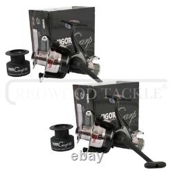 Nouveau kit de carpes/pikes : 2 cannes, 2 moulinets, support de canne + 2 alarmes de touche