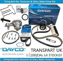 Pour Ford 1.0 Ecoboost Kit de courroie de distribution Pompe à huile Courroie bio humide Kit de courroie Pompe à eau
