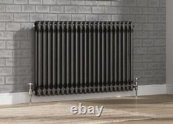 Radiateur horizontal traditionnel à 2 colonnes de style en fer brut pour chauffage central